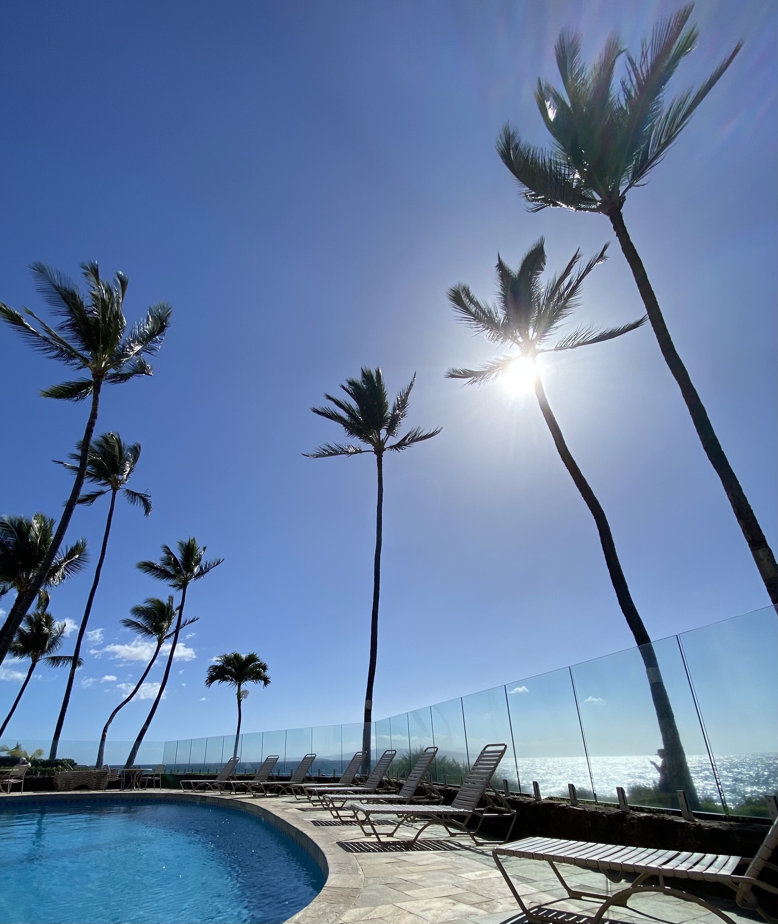 A poolside area with lounge chairs and palm trees under a clear sky.