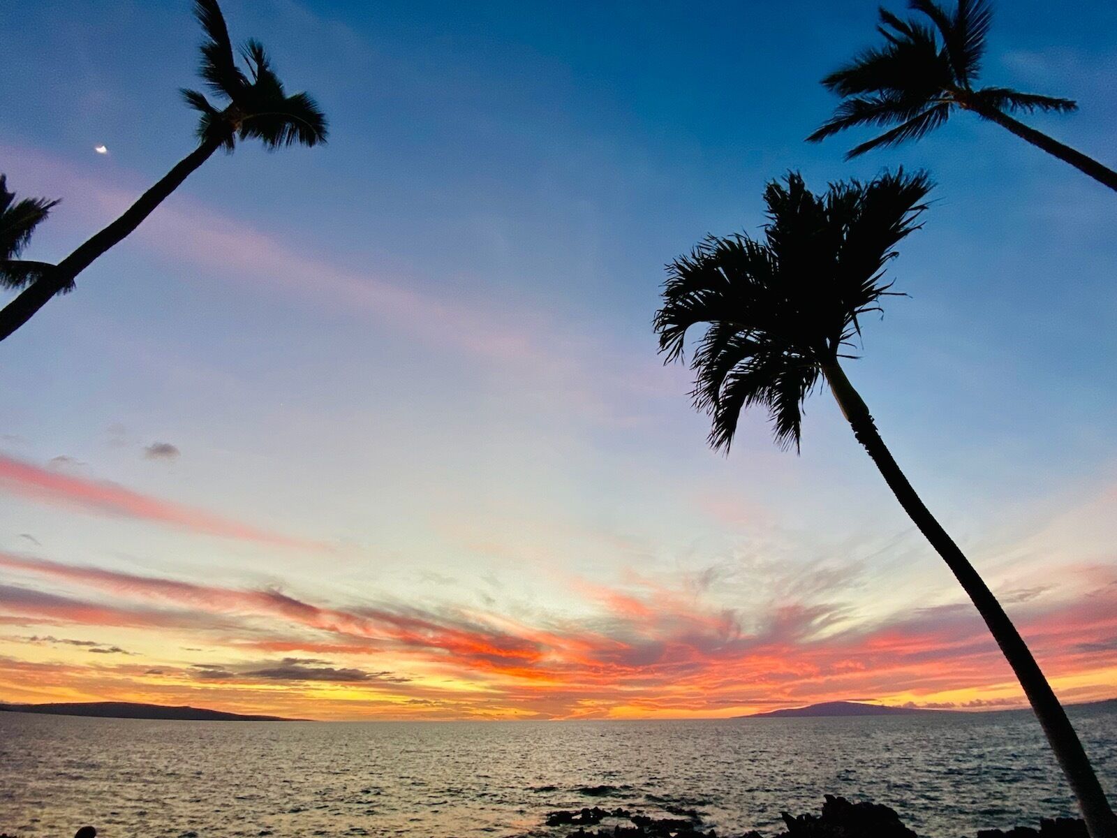 Un tramonto sul mare calmo, con palme in silhouette contro il cielo.