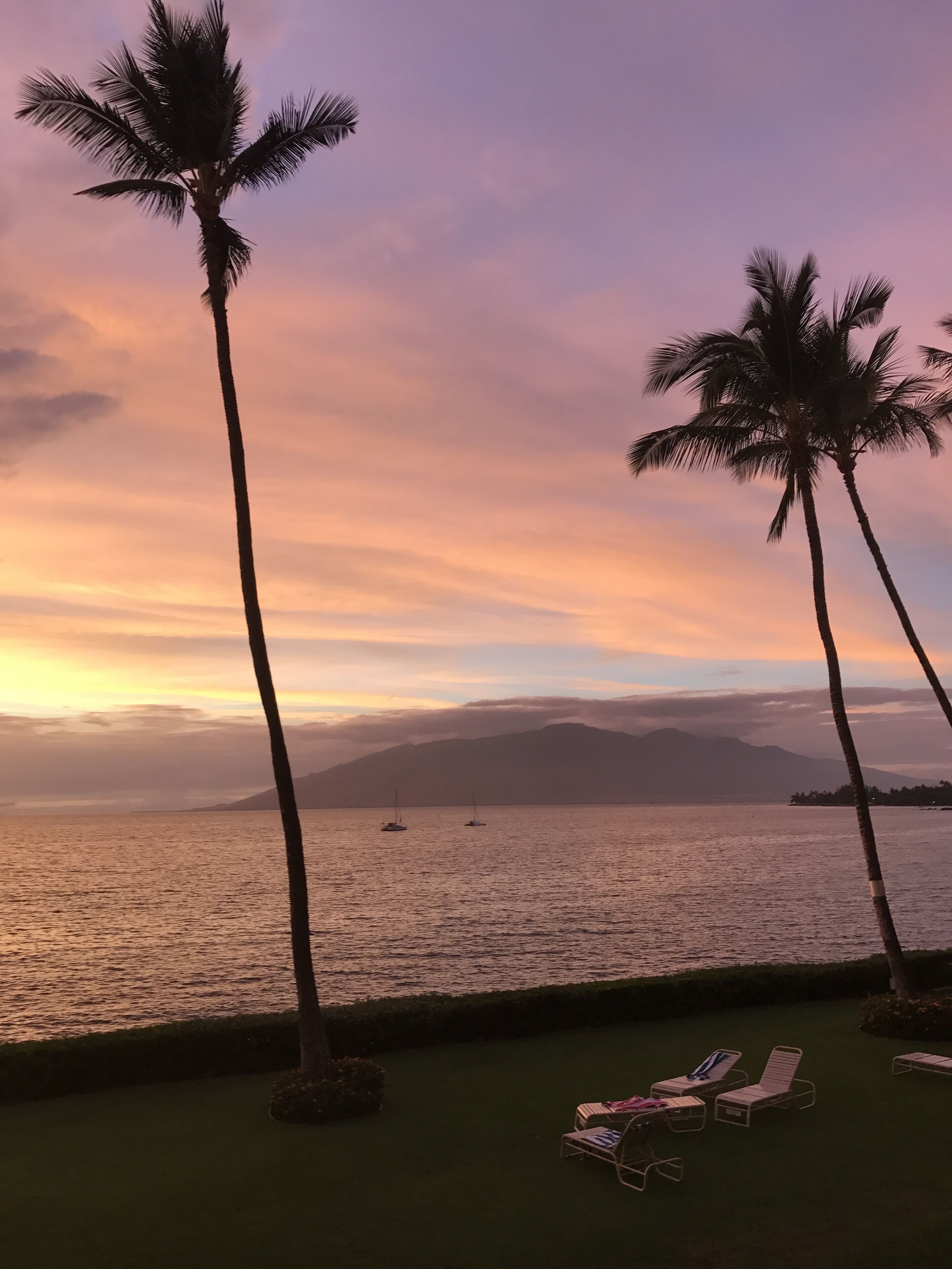 A sunset view with palm trees and lounge chairs on a grassy area by the water.