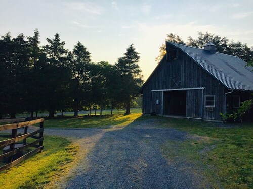 Viihtyisä, hiljainen parvi luonnonkauniilla työskentelevällä hevostilalla, viiden minuutin päässä Lexingtonista