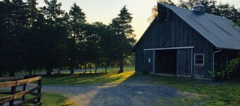 Cozy, quiet loft on a scenic working horse farm, five minutes from Lexington