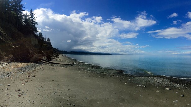 A beach with pebbles and a rocky shoreline, trees, and a clear sky.