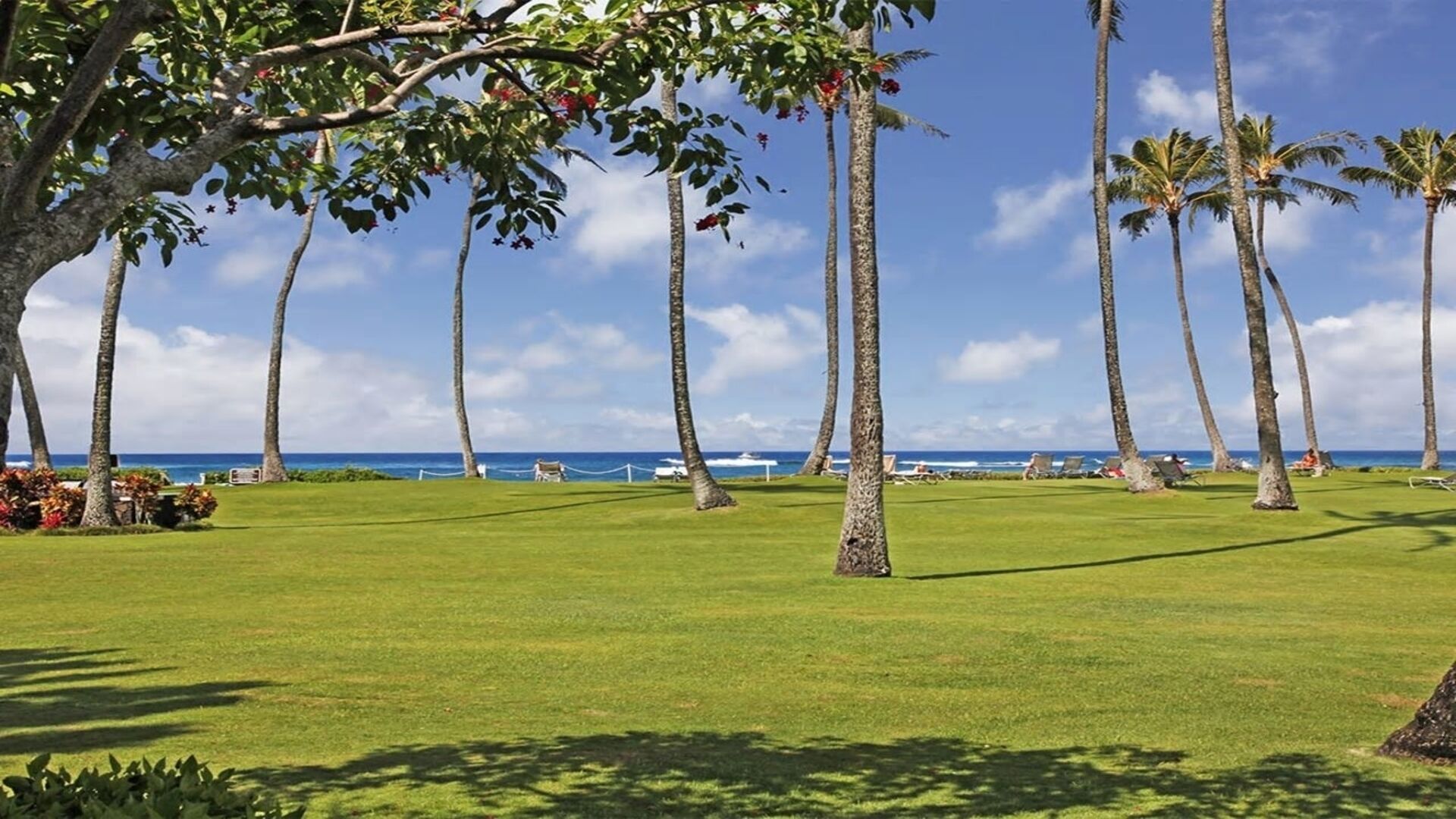 Kiahuna Plantation #21 -- Prime Ocean View; Ground Floor; Beautifully Renovated 