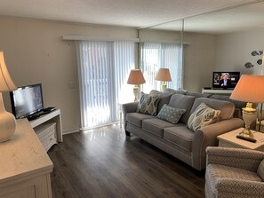 TV, DVD player, books