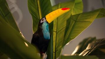 A toucan with a large yellow beak and blue feathers perched among green leaves.