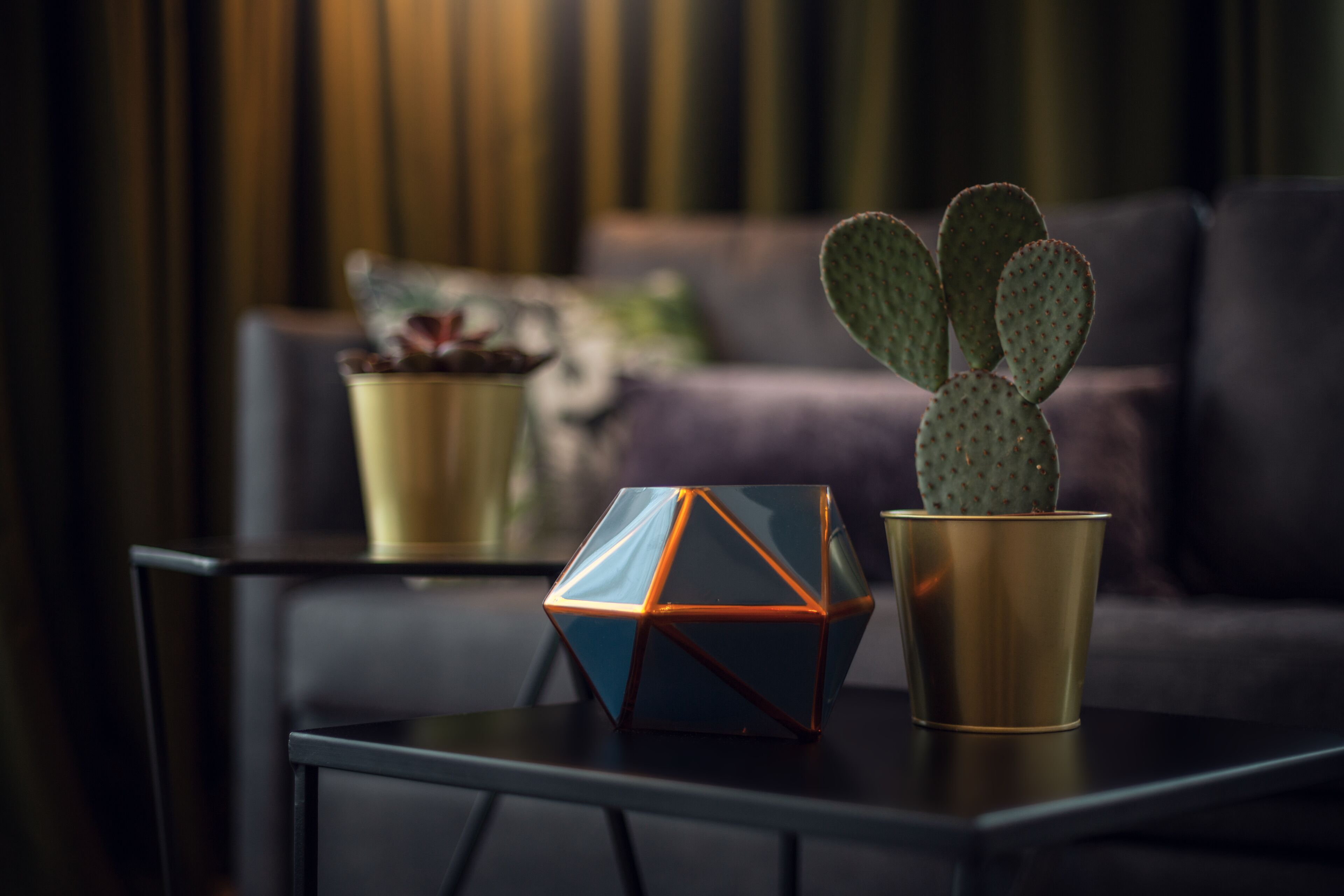 Un cactus dans un pot doré, posé sur une table, avec un objet décoratif en verre aux motifs géométriques.