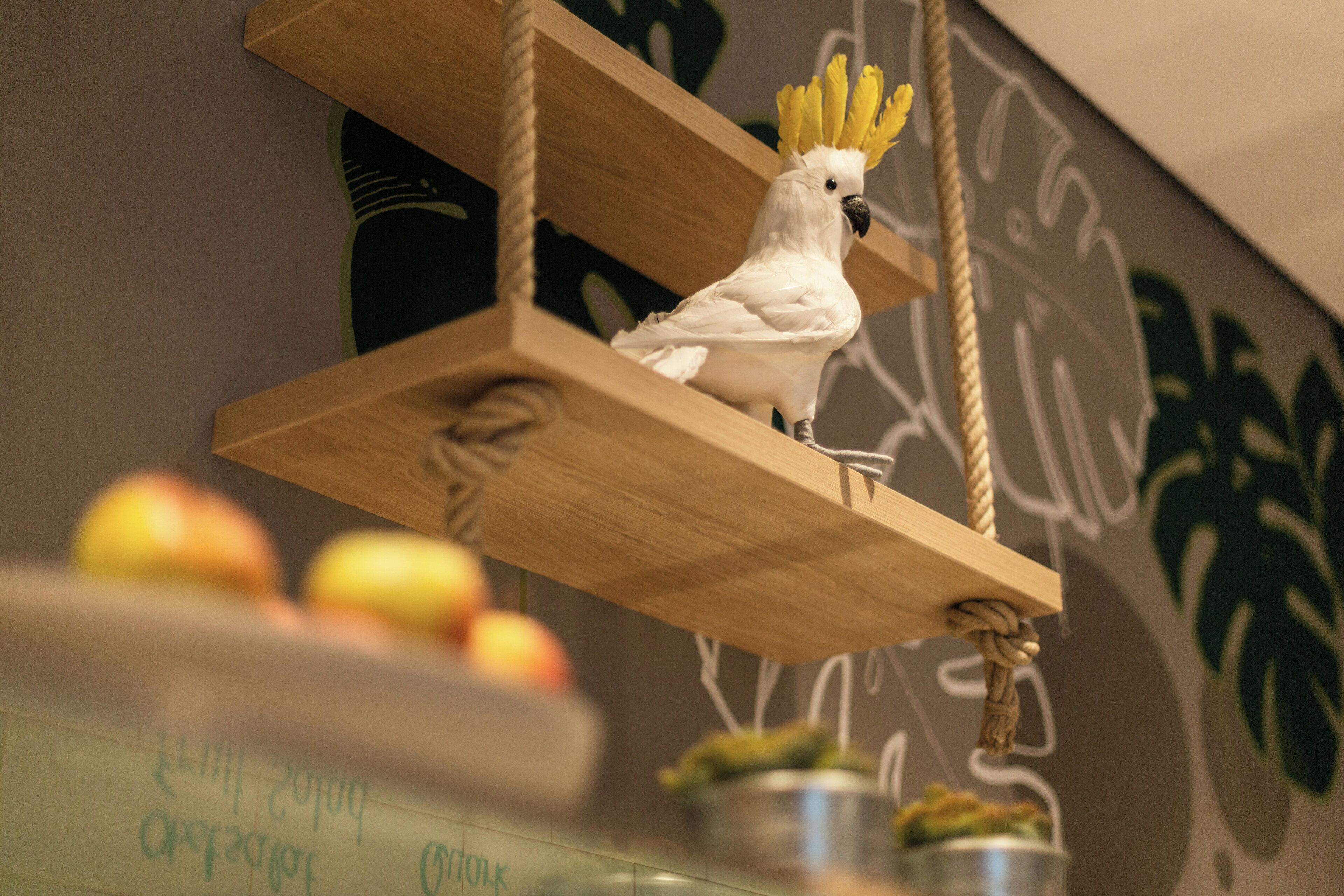 A white cockatoo perched on a wooden shelf with a rope.