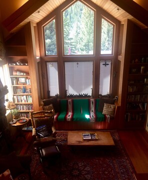 TV - Beautiful Mountain House with a View (Silver Plume)