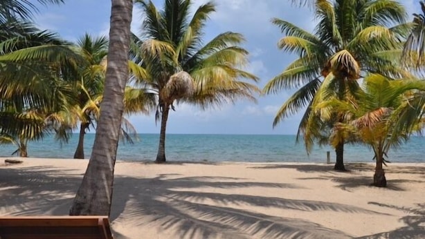 A beach with palm trees and a wooden deck. - Beach Front Rental, Casita Del Mar, Hopkins, Belize (Hopkins)