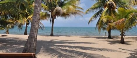 Plage, chaises longues, serviettes de plage
