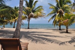 Ein Strand mit Palmen und einer Holzterrasse.