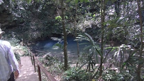 A natural setting with a water body surrounded by dense vegetation and a metal railing. - Beach Front Rental, Casita Del Mar, Hopkins, Belize (Hopkins)