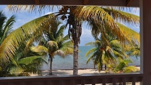 A beach view with palm trees and a clear sky. - Beach Front Rental, Casita Del Mar, Hopkins, Belize (Hopkins)