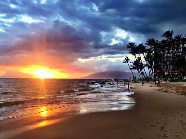 Sun loungers, beach towels