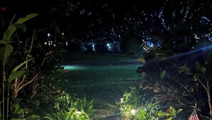 Ein gepflasterter Weg schlängelt sich durch einen Garten bei Nacht, gesäumt von Kübelpflanzen und beleuchtet von kleinen Lichtern.