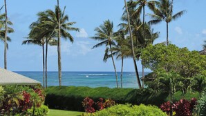 A tropical landscape with palm trees and a view of the ocean.