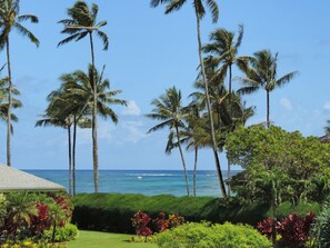 View from our deck of world famous Hanalei Point Break!