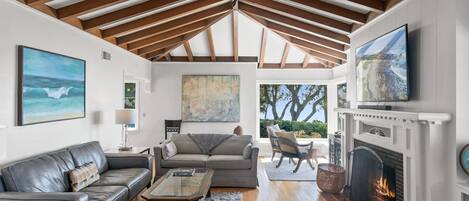 Télévision, cheminée, espaces bureaux