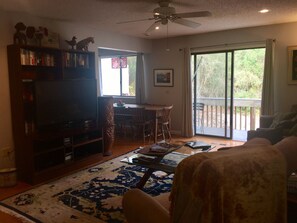 TV, DVD player, books, video library