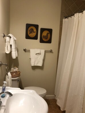 Secadora de cabello, toallas, jabón, papel de baño 