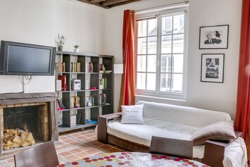 Living room : sofa , bibliotèque and fireplace