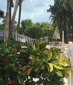 Outdoor dining - Beautiful 1 Bedroom Condo - Steps to the Gulf Coast - Relax and Enjoy the Beach (Bonita Beach)