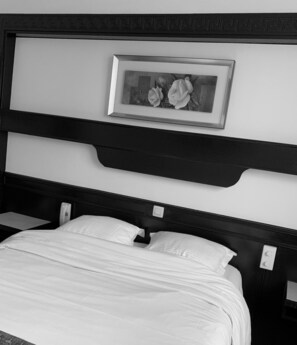 Standard Room, 1 Double Bed