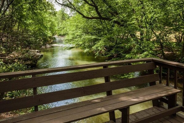 A wooden bench overlooking a river in a forested area.