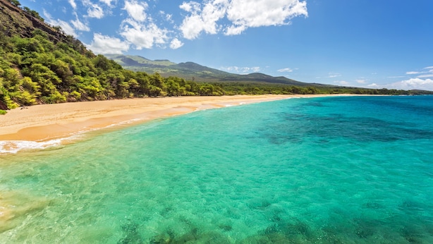 A beach with clear turquoise waters, sandy shore, and lush greenery.