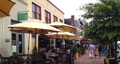 Sunny, Downtown, Roomy Apt/Free Parking/Sleeps 5!