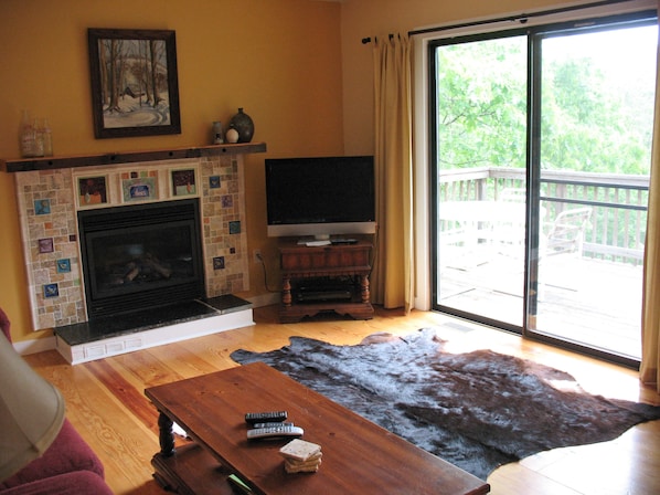 TV, fireplace, DVD player, books