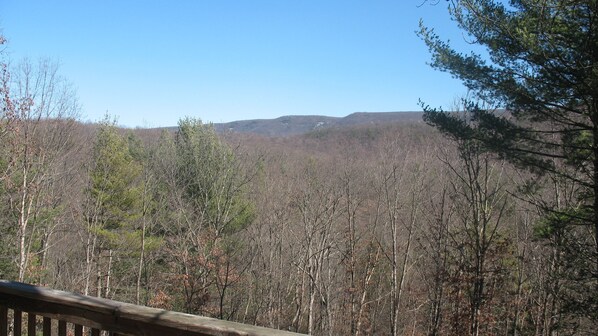 A forested landscape with a wooden deck.