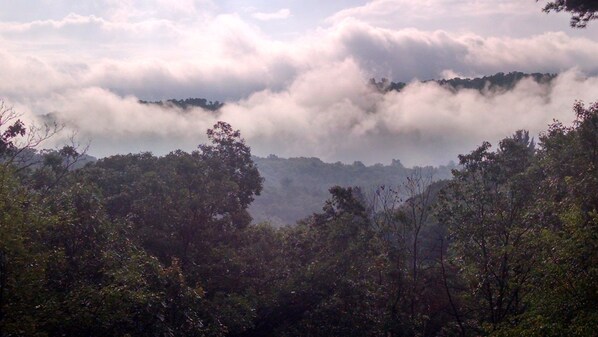 A forested landscape with dense trees and a mountain range in the background. - Beautiful Mountain View, Secluded Romantic, Family Friendly, WiFi, discounted (Great Cacapon)