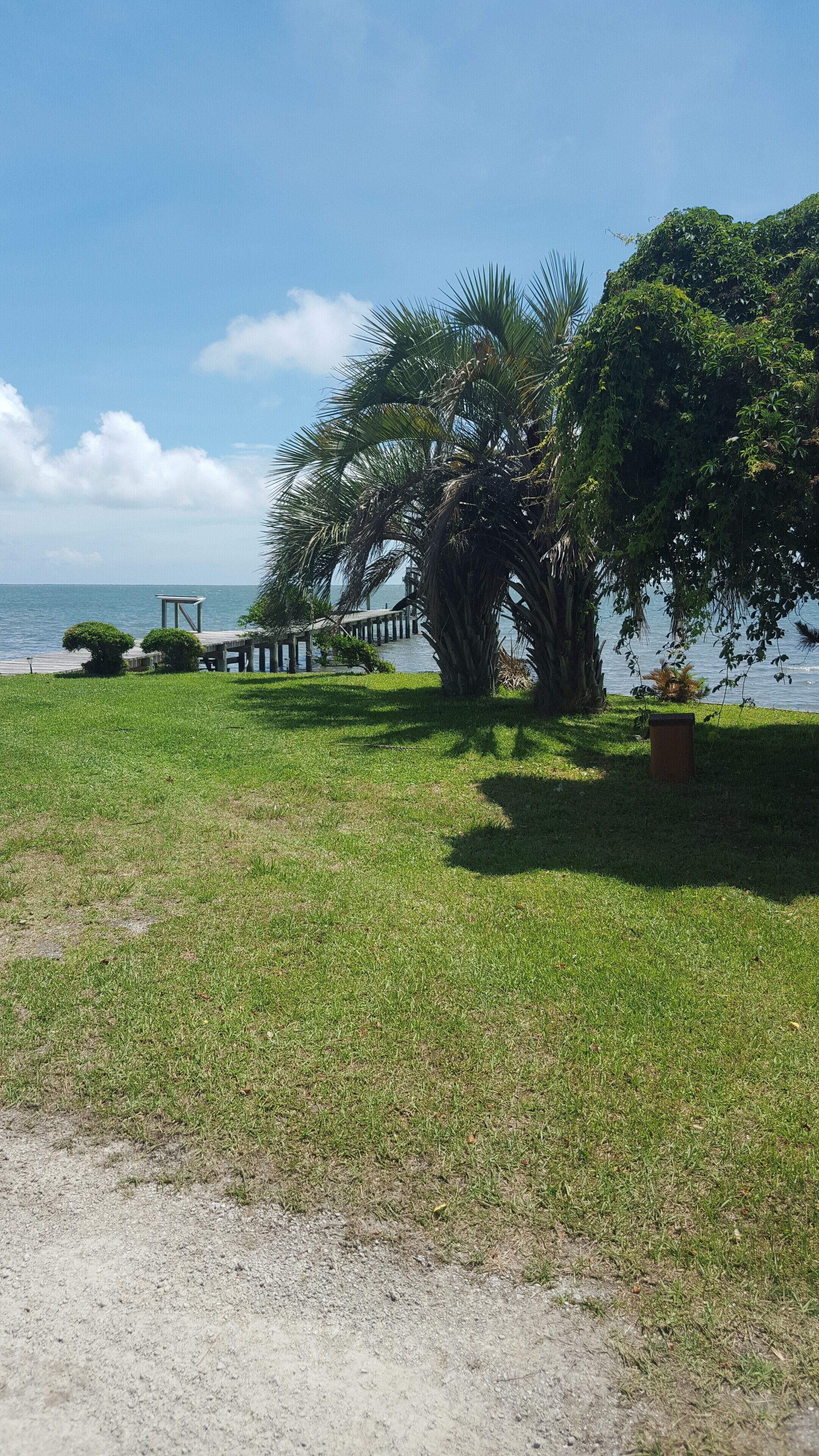 Front yard