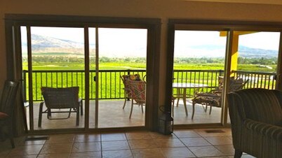 1 BR guest house overlooking a beautiful vineyard 