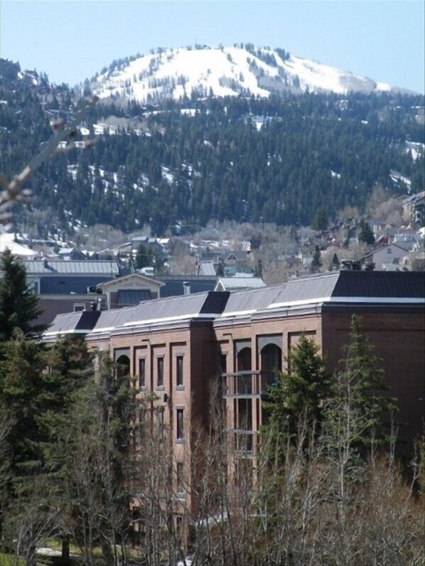A building with a brick facade and arched windows, surrounded by trees and a snow-capped mountain in the background.