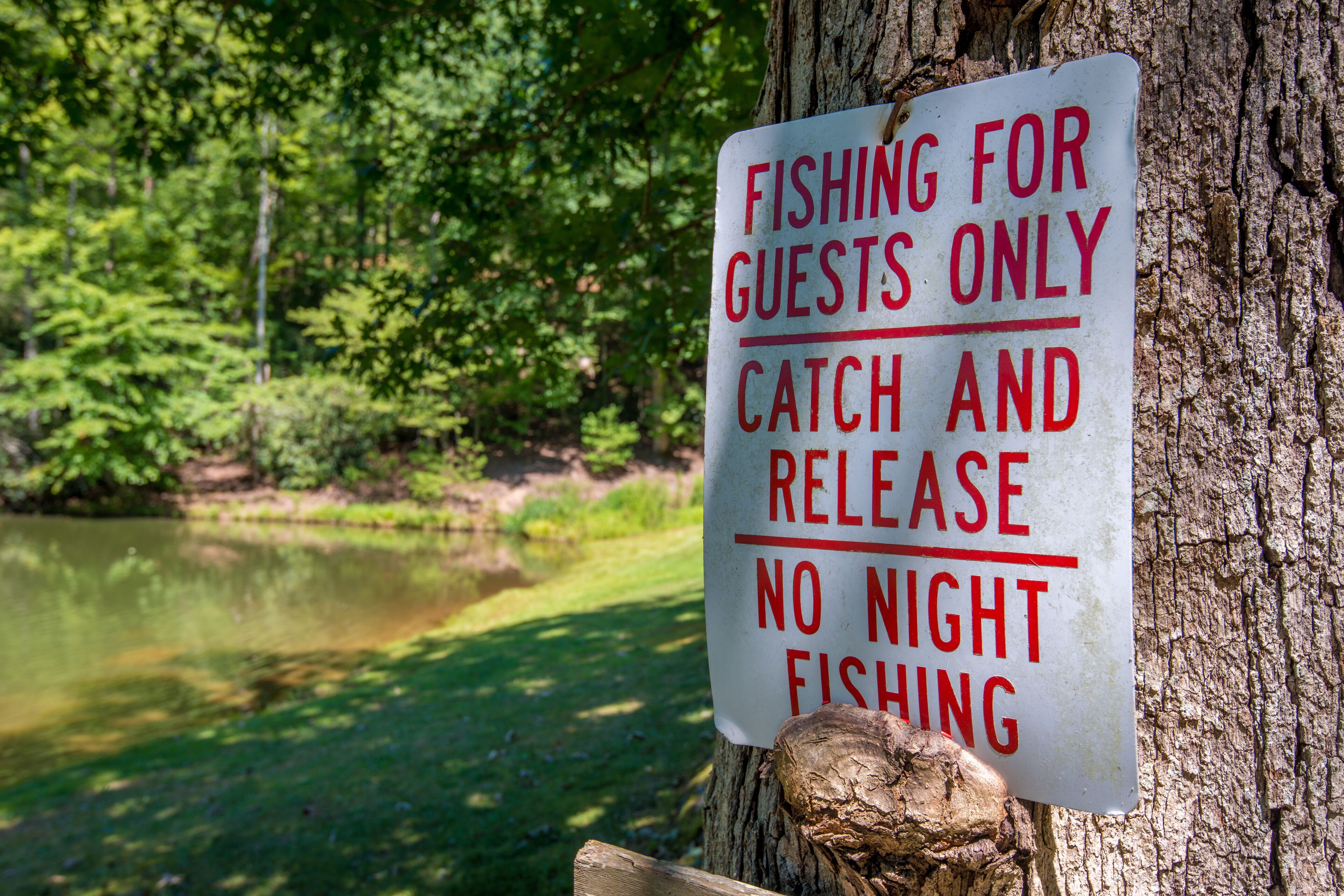 A sign on a tree stating "FISHING FOR GUESTS ONLY, CATCH AND RELEASE, NO NIGHT FISHING".