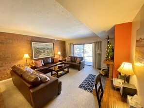 Smart TV, fireplace, DVD player, books