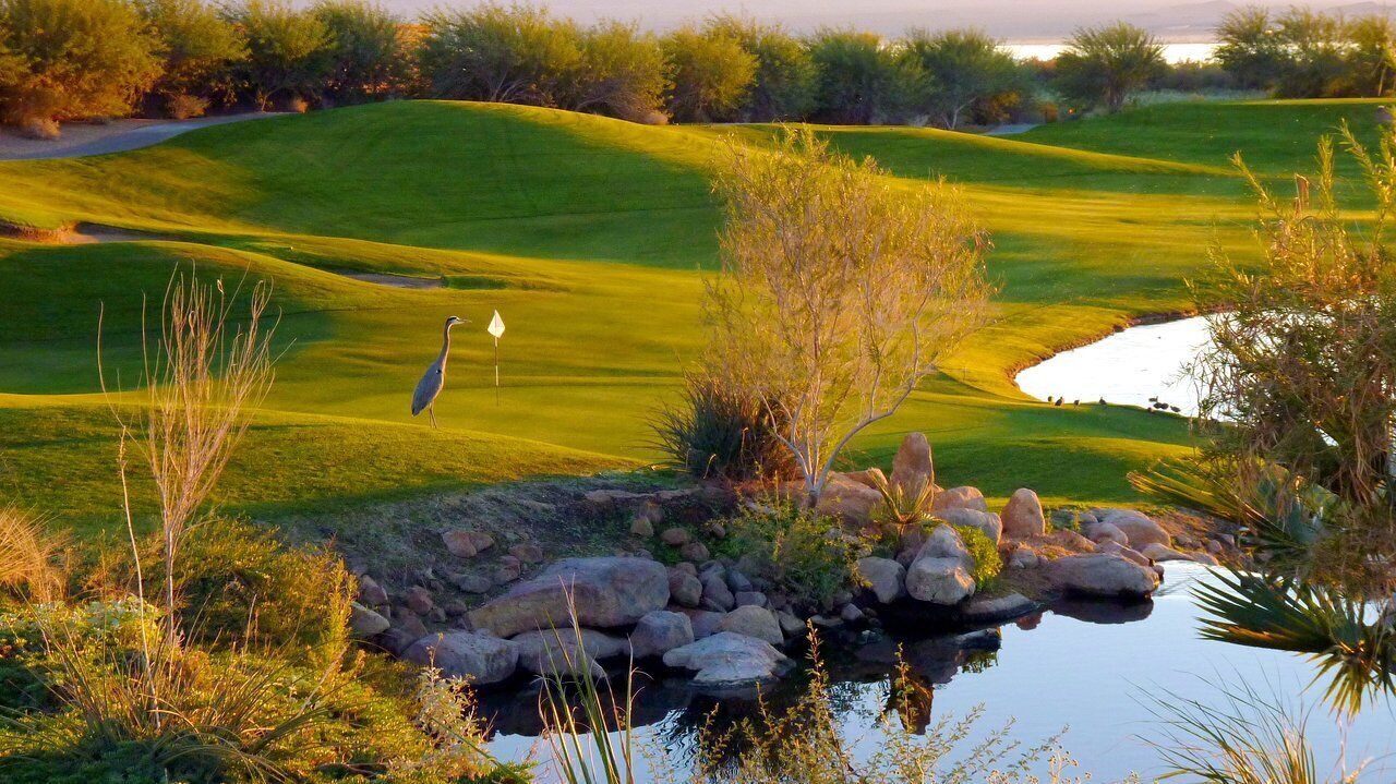 Golfing is a popular attraction in Lake Havasu