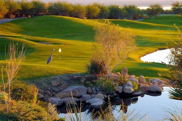 Golfing is a popular attraction in Lake Havasu