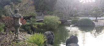 ANDULORE COTTAGE - Near Burlingame Ave - Remodeled - Spacious Backyard Retreat