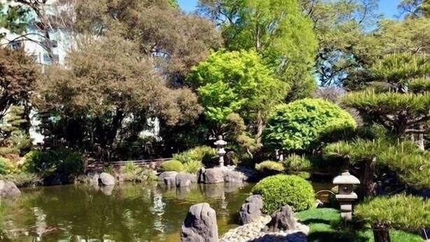 Un jardín tranquilo con un estanque, rocas y faroles tradicionales japoneses.