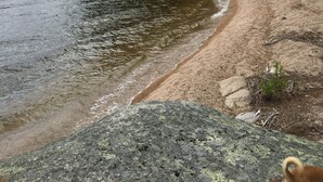 A beach with a sandy shore, surrounded by dense green trees and a calm body of water. - Lakefront Home On Beautiful Donnells Pond,32 miles From Acadia N P and Bar Harbr (Franklin)