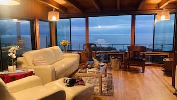 Smart TV, chimenea, reproductor de DVD y biblioteca musical