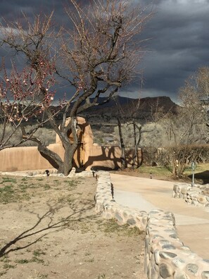 A desert landscape with a large rock formation, a paved path, and sparse vegetation.
