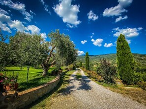 Property grounds - "Villa Stefania" Old Tuscan Farmhouse - Great View on Cortona (Cortona)