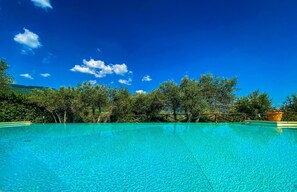 Ein klares, blaues Schwimmbecken, umgeben von üppiger Vegetation und Bäumen unter einem strahlend blauen Himmel.