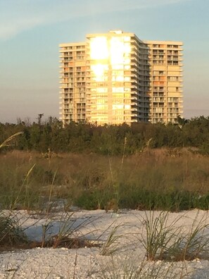 A high-rise building with multiple floors and balconies, surrounded by a natural landscape with grass and shrubs. - Beautiful, Oceanfront South Seas NW Condo with Stunning Views (Marco Island)