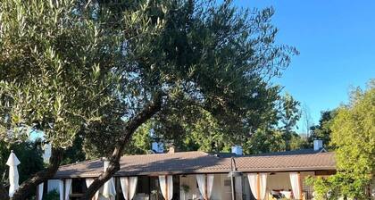 Stunning Pool Property Minutes to Downtown Sonoma