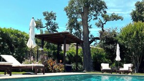 Ein Pool mit Liegestühlen und Sonnenschirmen, umgeben von Bäumen und einer Pergola.